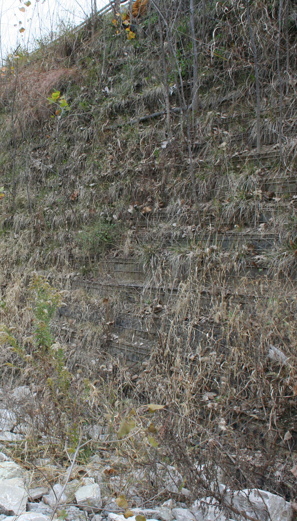 Wire Face Walls